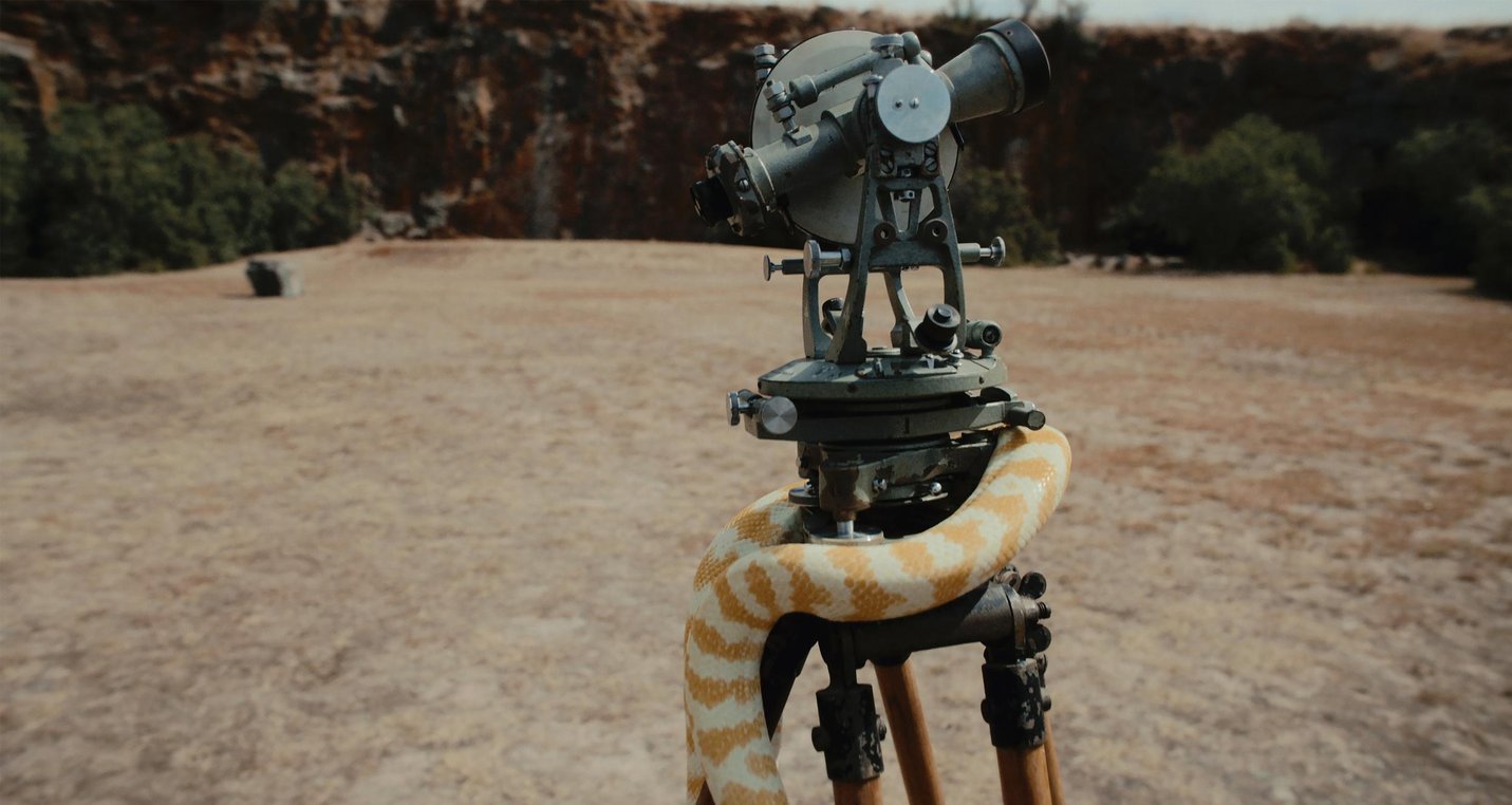 Art installation - an Albino Burmese Python curled around a camera tripod in an arid environment