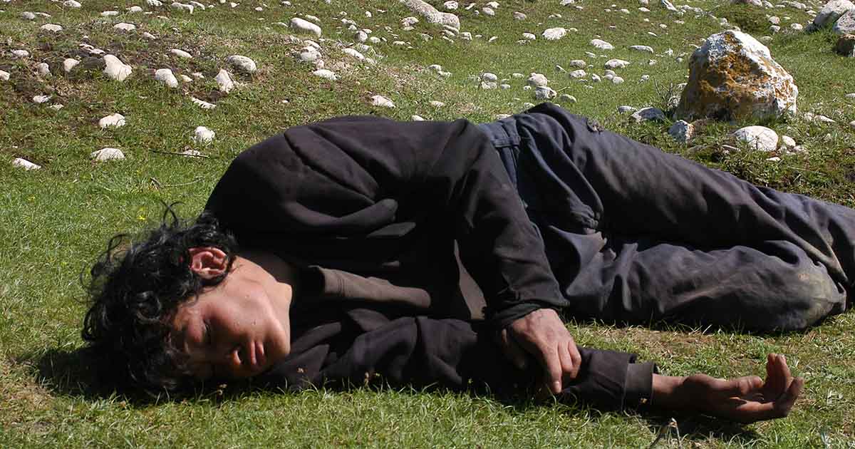 TwoLegged Horse (2008) 26 Jun 2024 Melbourne Cinémathèque ACMI