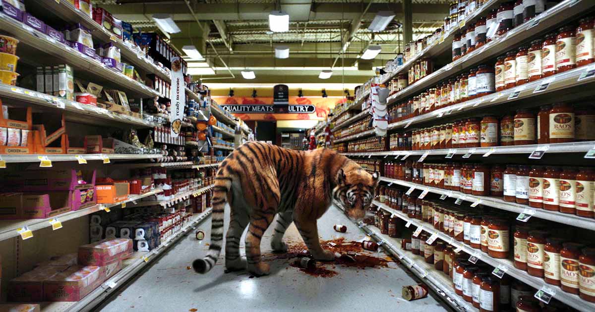 Euphoria RISING 2023 218 Jun ACMI Your museum of screen culture