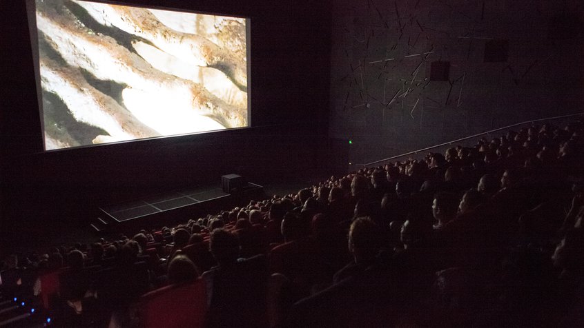 ACMI White Night 2013 - Mark Gambino - cinema