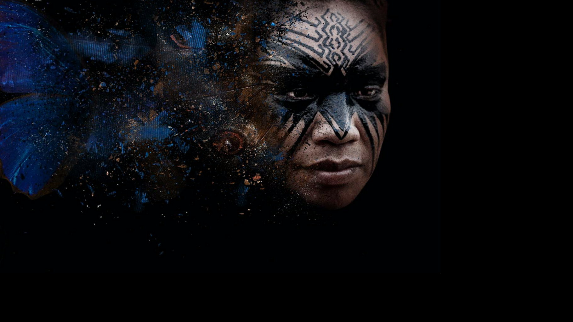 Awavena - hero image.png