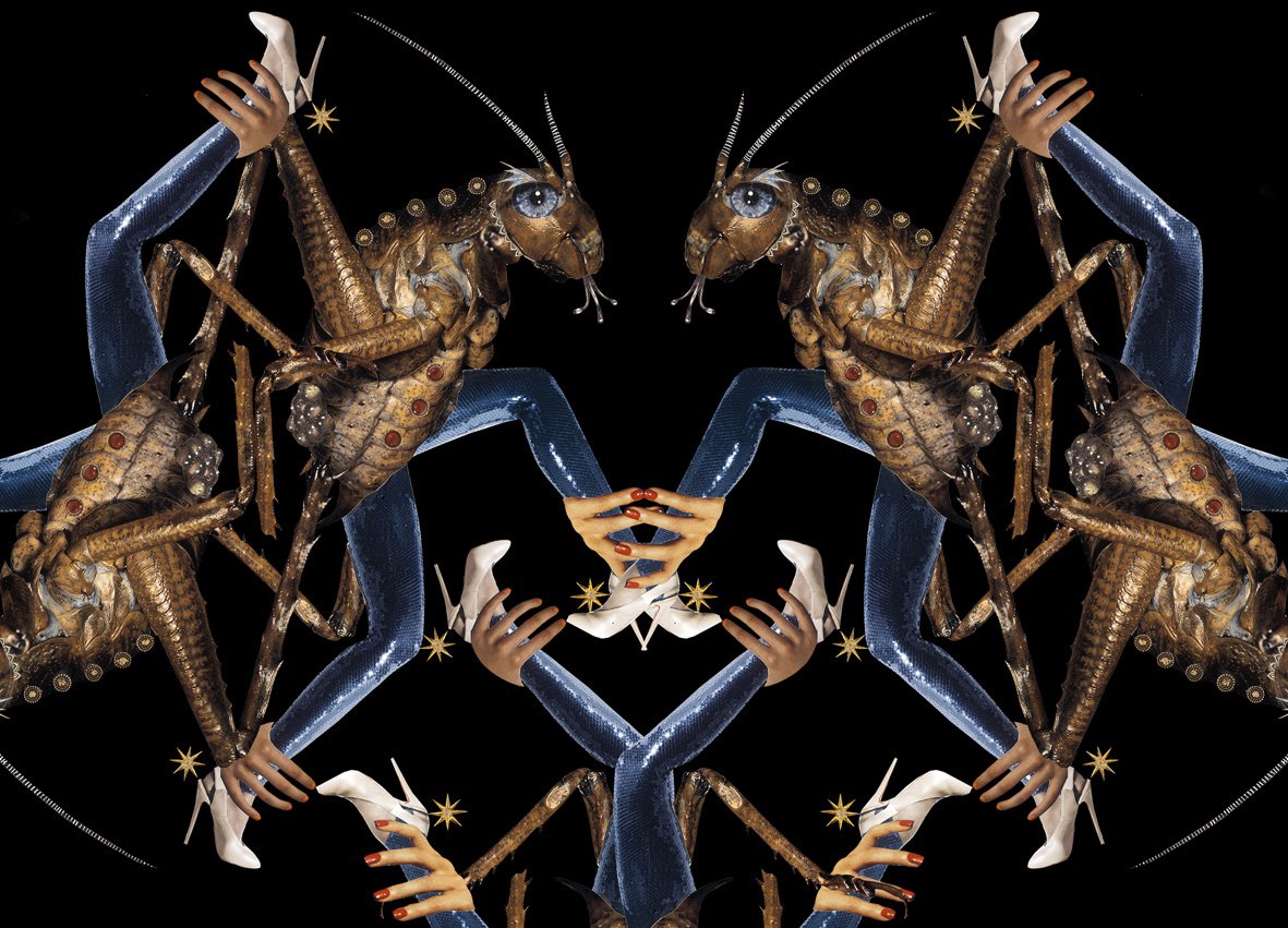 Cricket creatures as featured in 'The Gods of Tiny Things' by Deborah Kelly